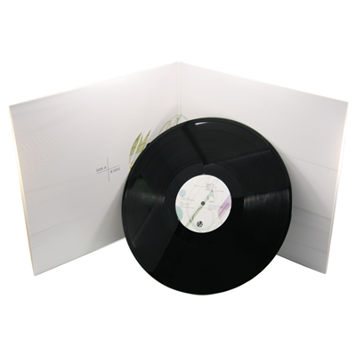 Discos de Vinil